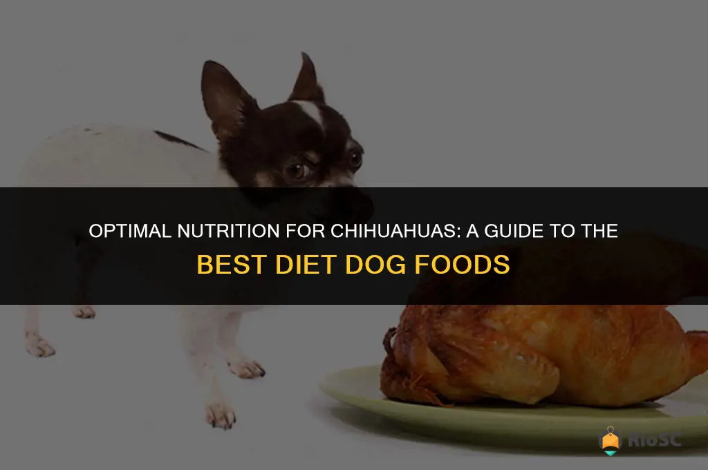 best diet dog food for chihuahuas