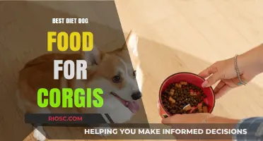 Nutritional Essentials for Corgis: A Guide to the Best Diet Dog Food