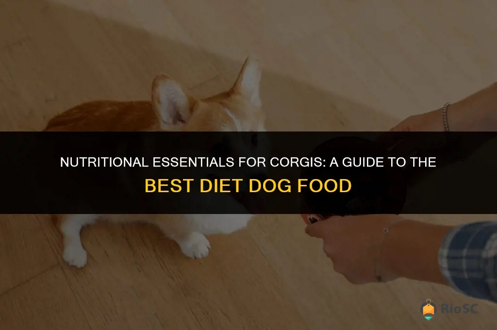 best diet dog food for corgis
