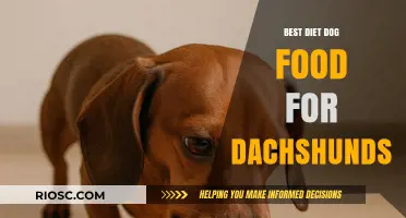Optimal Nutrition for Dachshunds: A Guide to the Best Diet Dog Foods