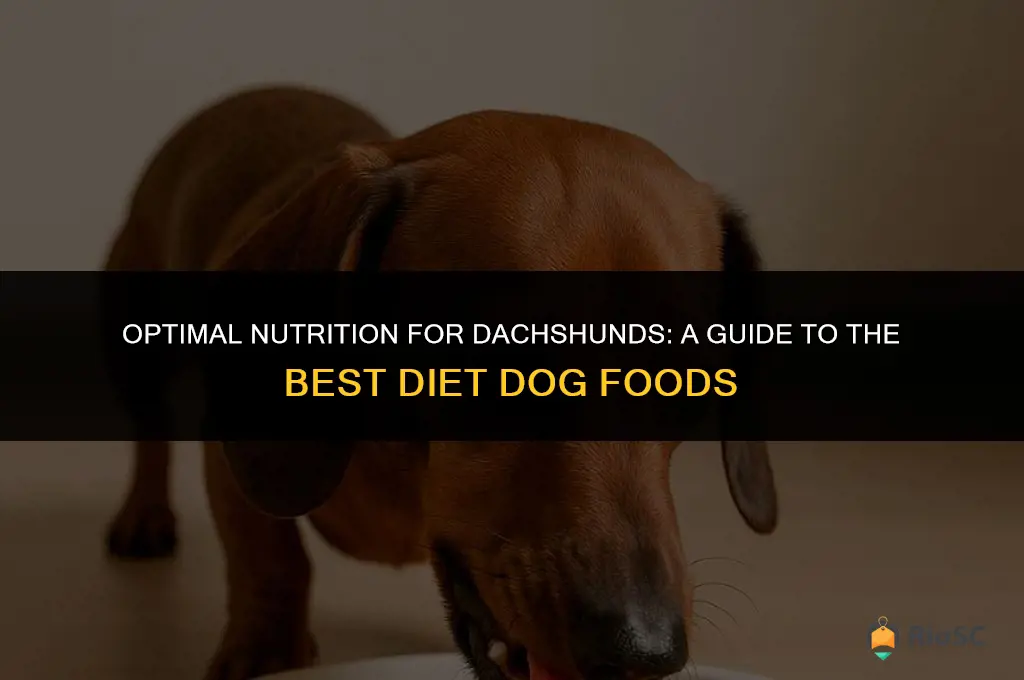 best diet dog food for dachshunds