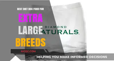 Optimal Nutrition for Gentle Giants: A Guide to the Best Diet Dog Food for Extra Large Breeds