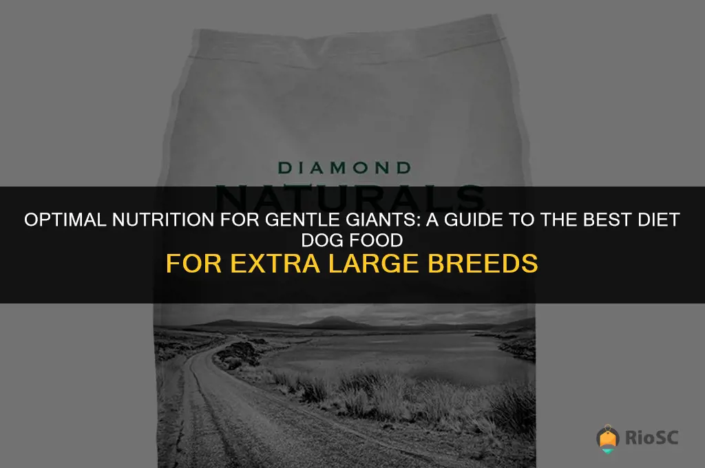 best diet dog food for extra large breeds