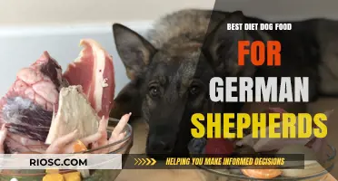 Optimal Nutrition for German Shepherds: A Guide to the Best Diet Dog Foods