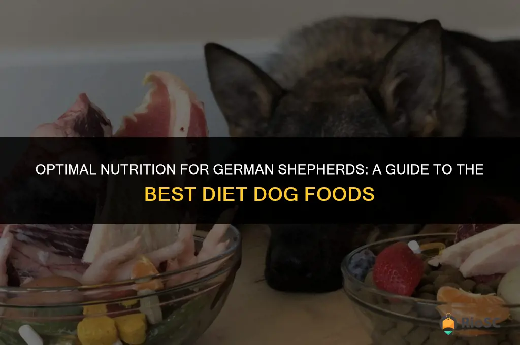 best diet dog food for german shepherds
