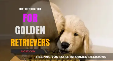 Optimal Nutrition for Golden Retrievers: A Guide to the Best Diet Dog Foods