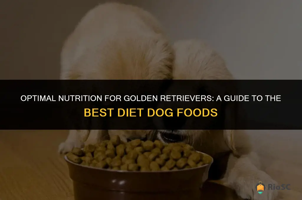 best diet dog food for golden retrievers