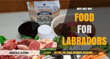 Optimal Nutrition for Labradors: A Guide to the Best Diet Dog Food