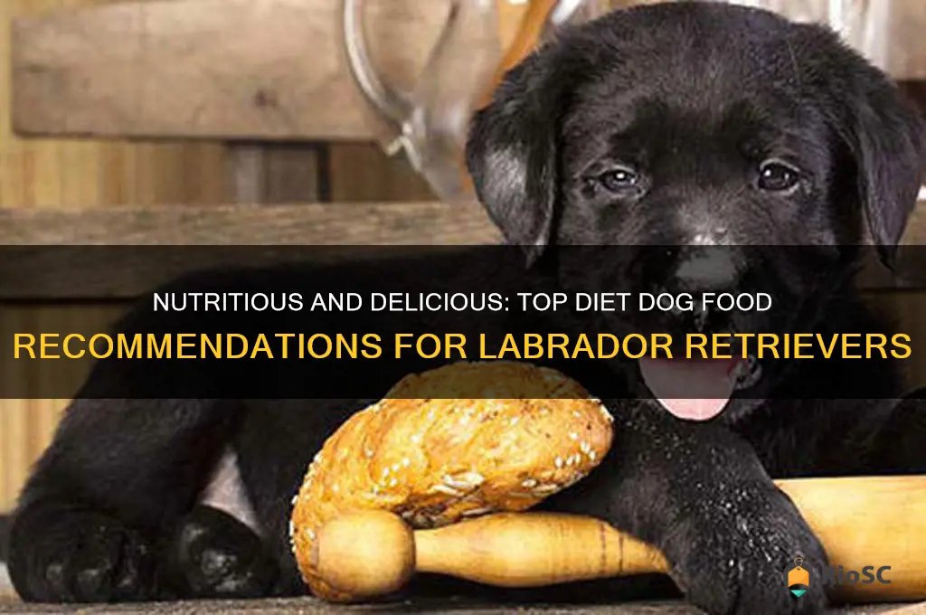 best diet dog food for labs