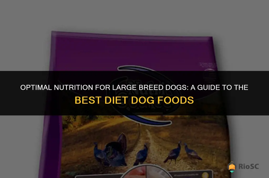 best diet dog food for large breeds