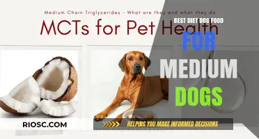 Optimal Nutrition for Your Medium-Sized Companion: A Guide to the Best Diet Dog Foods