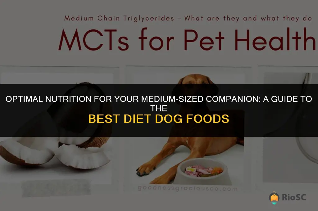 best diet dog food for medium dogs