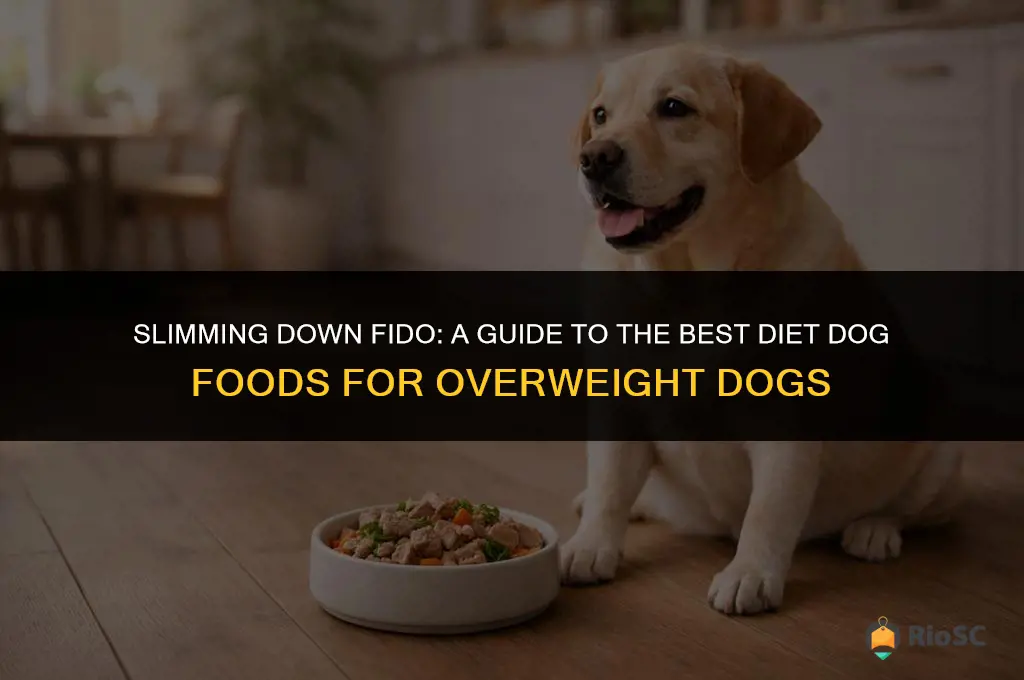 best diet dog food for overweight dogs