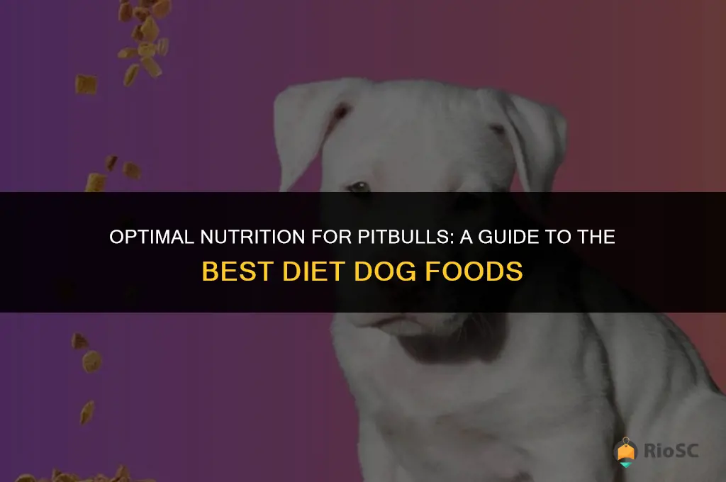 best diet dog food for pitbulls