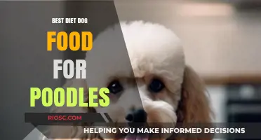 Nutritional Excellence for Poodles: Unveiling the Best Diet Dog Food Options