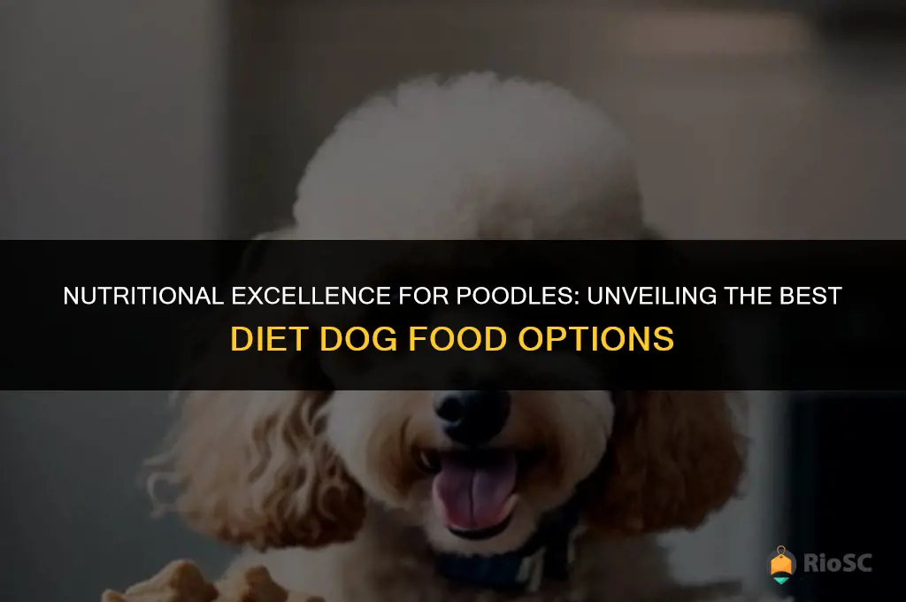 best diet dog food for poodles