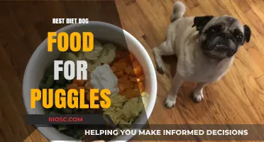 Nutritional Nirvana for Puggles: Unveiling the Best Diet Dog Food Options