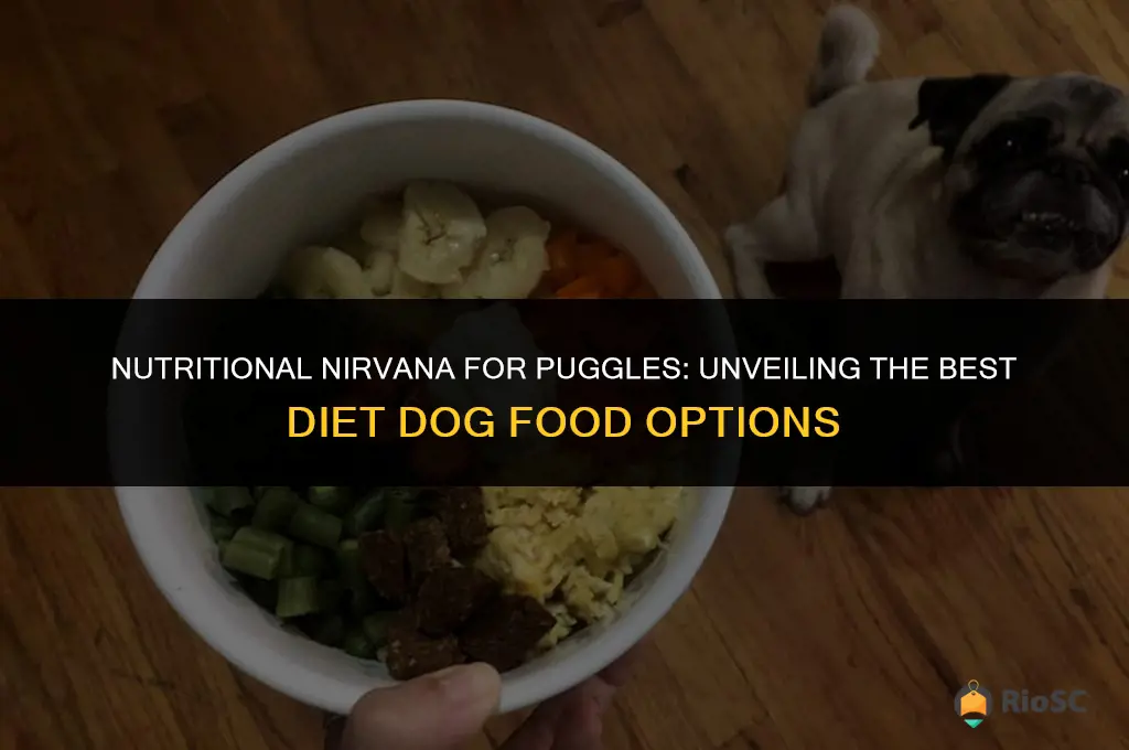 best diet dog food for puggles