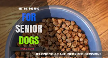 Nutritious Senior Dog Food: Top Diet Choices for Aging Canines