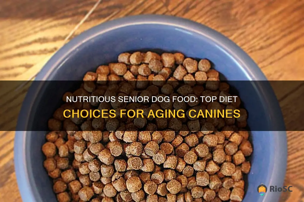 best diet dog food for senior dogs