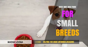 Nutritious and Tailored: Top Diet Dog Food Options for Small Breeds