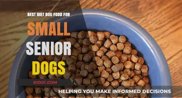Nourishing Golden Years: Top Diet Choices for Small Senior Dogs