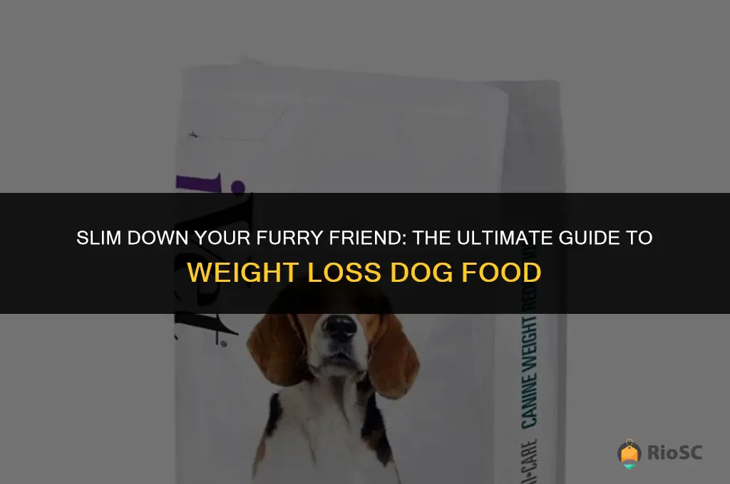 best diet dog food for weight loss