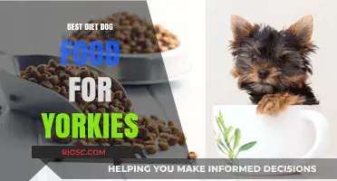 Nutritional Essentials: Selecting the Perfect Diet Dog Food for Your Yorkshire Terrier