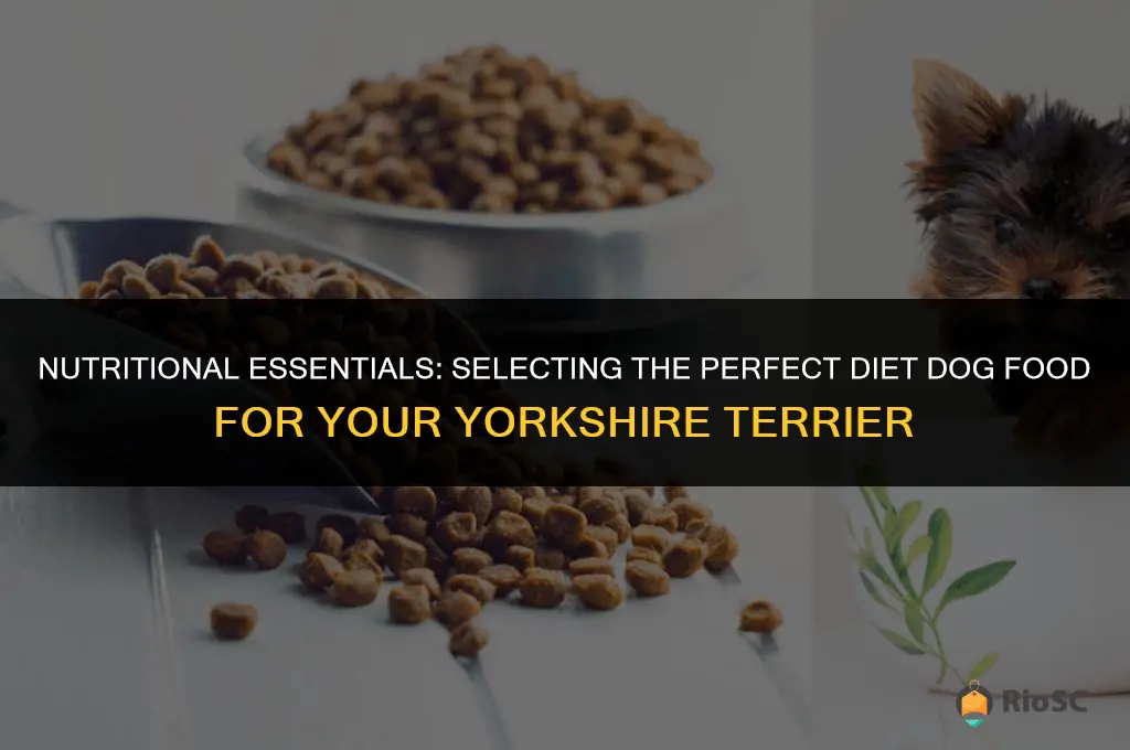 best diet dog food for yorkies