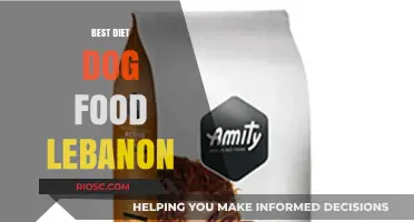 Top-Rated Diet Dog Food Options in Lebanon: A Comprehensive Guide for Pet Owners