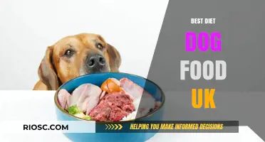 Top-Rated Diet Dog Foods in the UK: A Comprehensive Guide for Health-Conscious Pet Owners