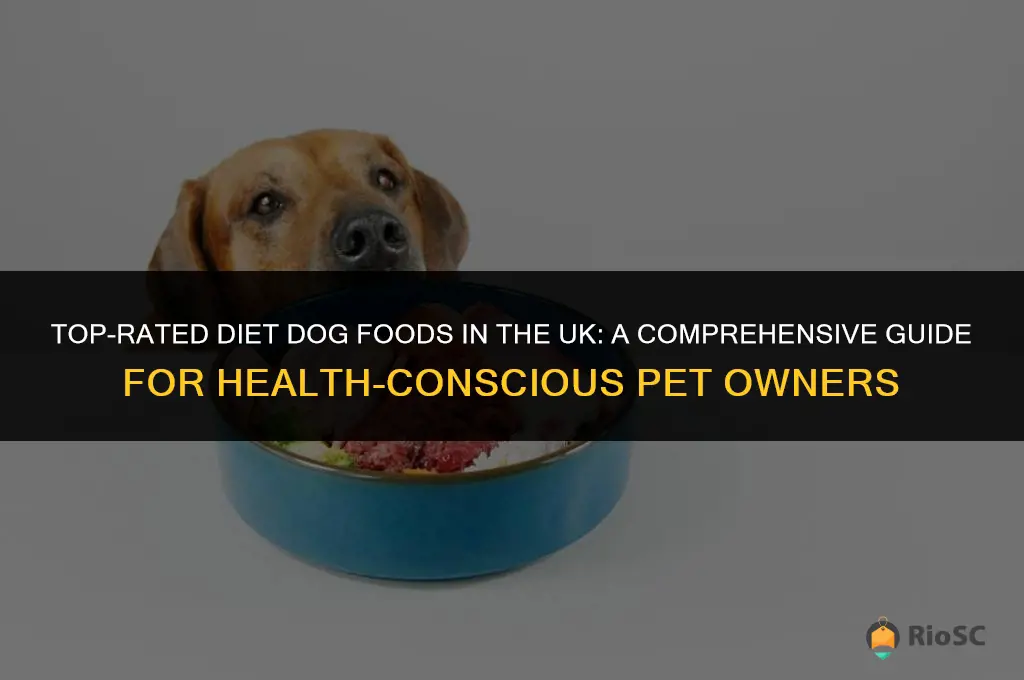 best diet dog food uk