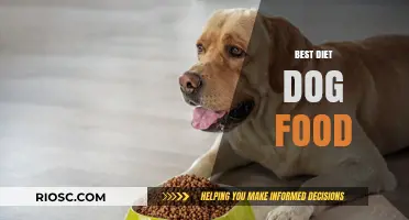 Optimal Nutrition for Canines: A Guide to the Best Diet Dog Foods