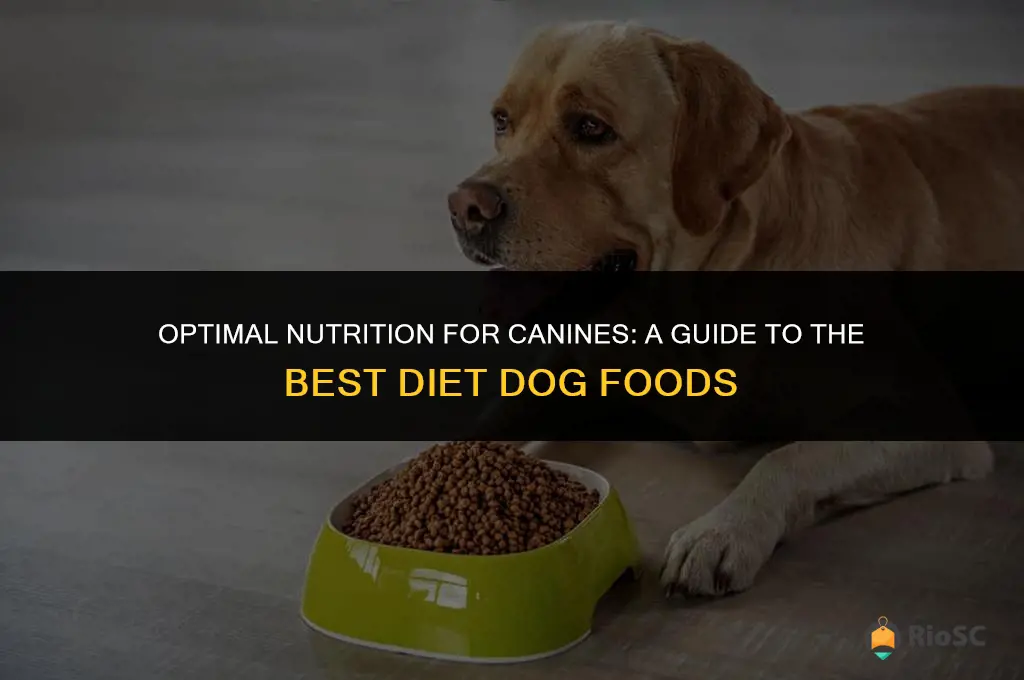 best diet dog food