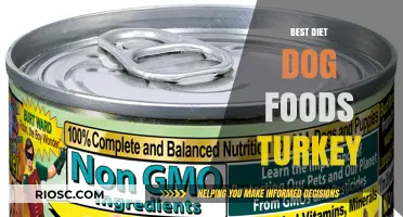 Top Turkey Diet Dog Foods: Nutritious Picks for Your Canine Companion