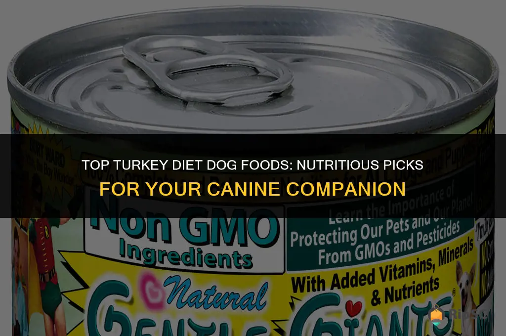 best diet dog foods turkey