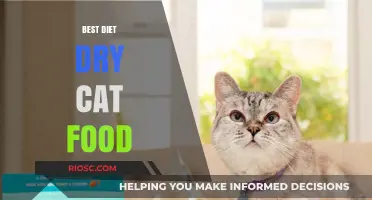 Top Picks for Your Feline Friend: The Best Diet Dry Cat Food Options