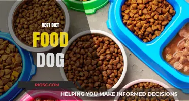Optimal Nutrition for Canines: A Guide to the Best Diet Foods for Dogs