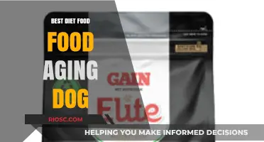 Nourishing Your Aging Companion: The Ultimate Guide to Diet and Nutrition for Senior Dogs