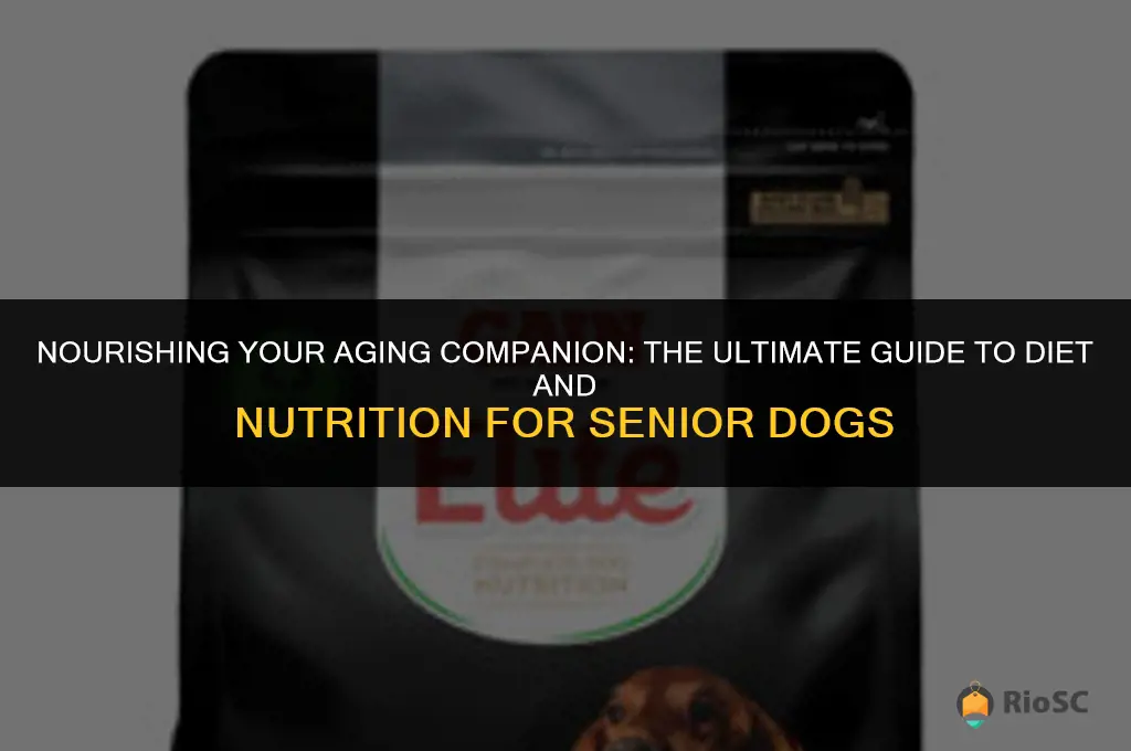 best diet food food aging dog