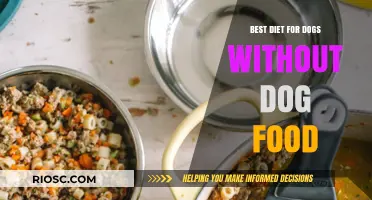 Exploring Natural Diets for Dogs: A Guide to Healthy Alternatives to Commercial Dog Food