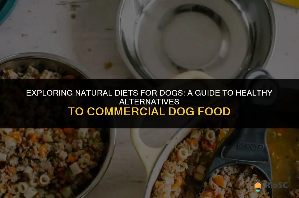 best diet for dogs without dog food