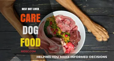 Nourishing Your Canine Companion: The Ultimate Guide to Diet and Liver Care in Dog Food