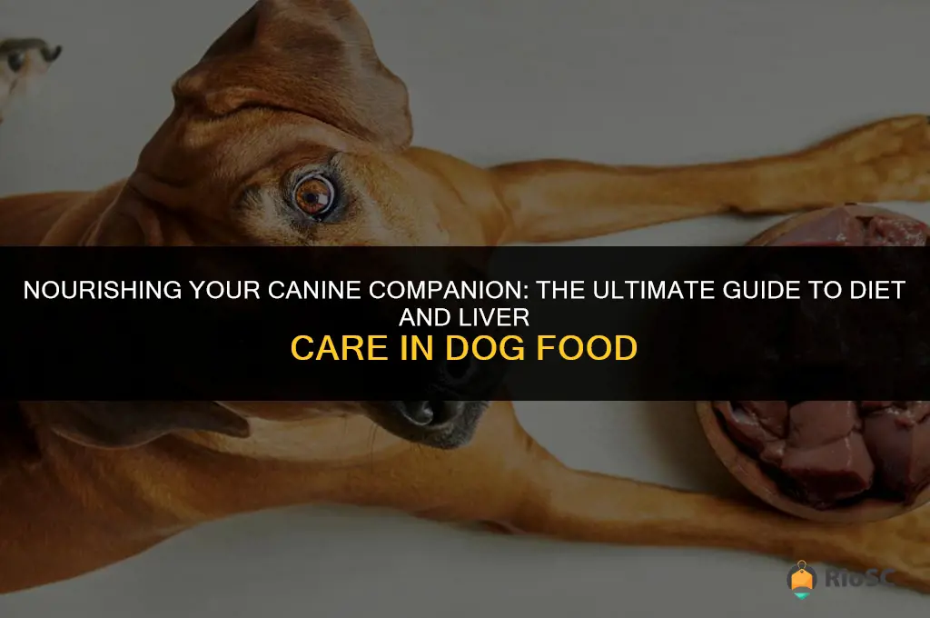 best diet liver care dog food