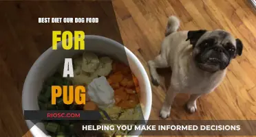 Optimal Nutrition for Your Pug: A Comprehensive Guide to Choosing the Best Dog Food