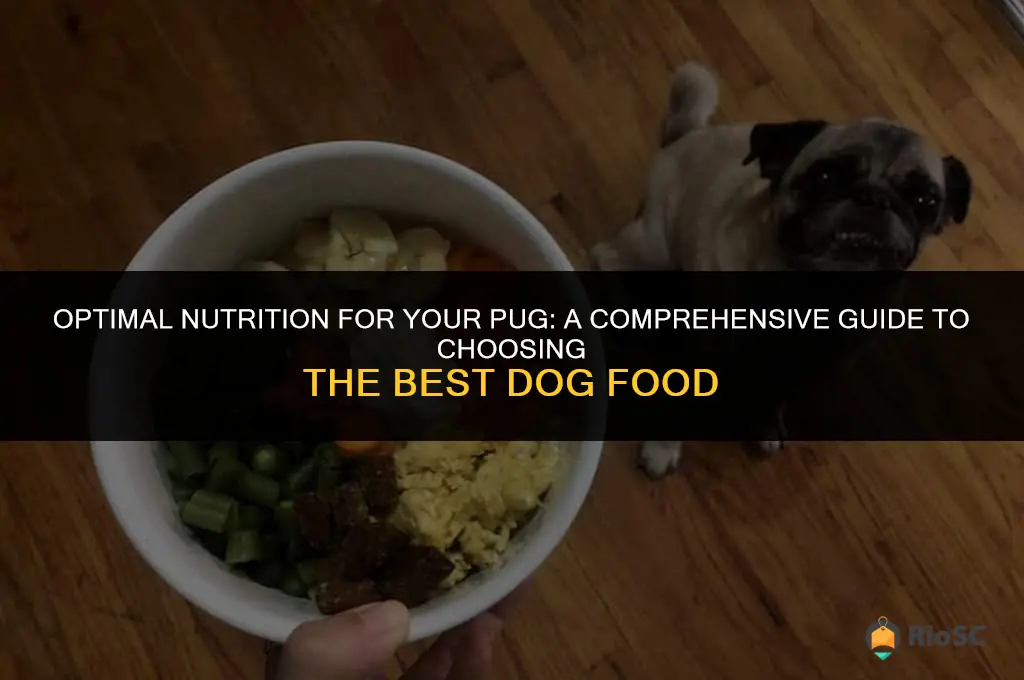 best diet our dog food for a pug