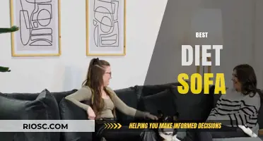 Ultimate Guide to Choosing the Best Diet-Friendly Sofa for Healthy Living