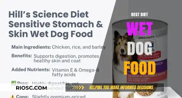Top Picks for Your Pup: The Best Diet Wet Dog Foods for Optimal Health