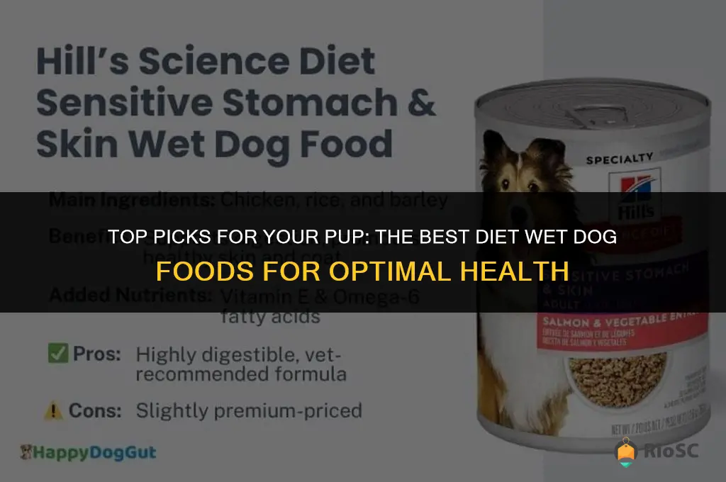 best diet wet dog food