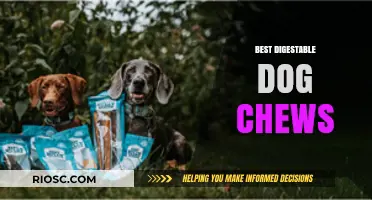 Top Digestible Dog Chews: Safe and Healthy Options for Your Furry Friend